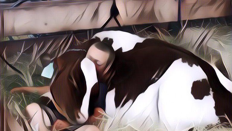 Gokil, 15 Foto Viral Orang Ketiduran dengan Posisi Lucu (Part I)