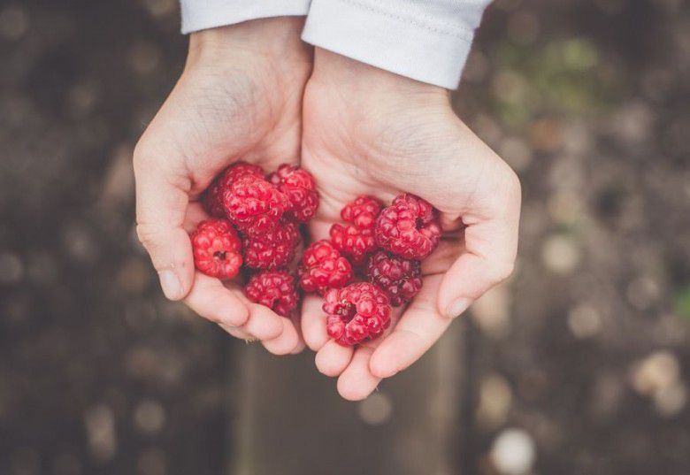 4. Buah-buahan jadi terasa hambar~