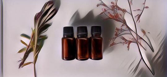 Banyak yang Belum Tahu Khasiat Labi-Labi Ini Untuk Kesehatan