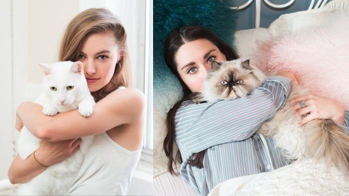 3. Cute Animal Crush, Video Pembantaian Hewan Ngeri