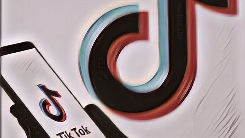 Ini Penghasilan Artis TikTok Indonesia yang Profesional, Dibayar Dollar Setiap Bulannya?