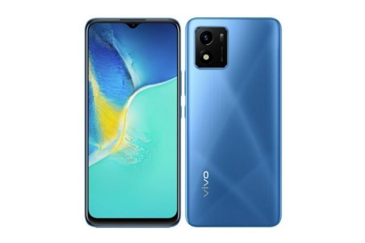 3. Vivo Y01