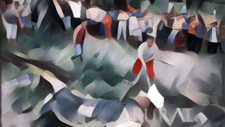 Penampakan Temuan Buaya yang Mau Bantai Kambing