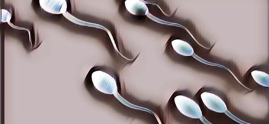 Pelaku Teror Bom Sperma, Tersenyum Saat Ditangkap