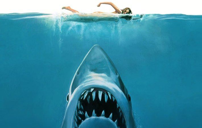 Bertahan saat didekati ikan Hiu