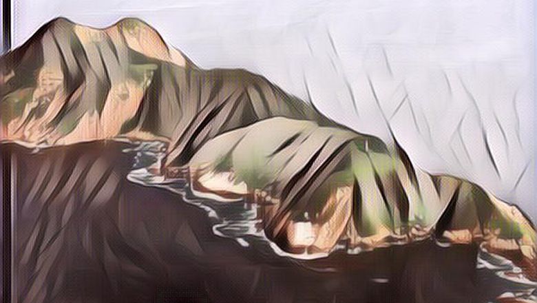 Snake Island Brazil dan Lima Fakta Mengejutkan