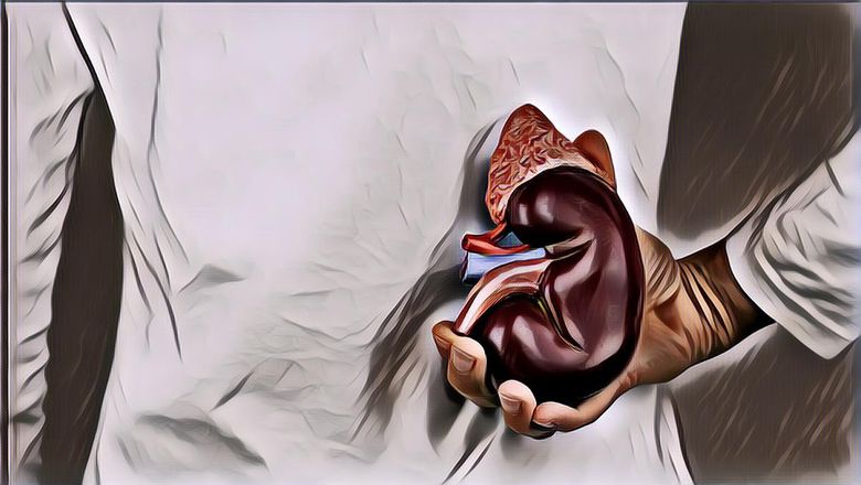 Tau Nggak Sih? Ini Organ Tubuh yang Bisa Didonorkan Setelah Seseorang Meninggal