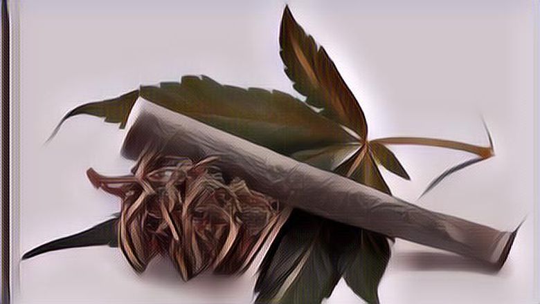 Musisi Inisial MF Diamankan Polisi Terkait Dugaan Kasus Narkoba, Terungkap Sosoknya