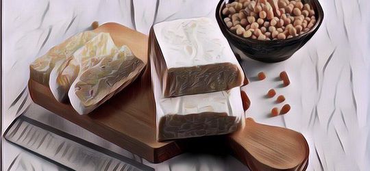 Ternyata Gini Proses Fermentasi Tempe Dan Rahasia Dibalik Pembuatannya, Sudah Tahu Belum?