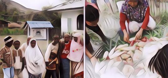 Begini Situasi Kehidupan Muslim di Papua, Sejak Dulu Selalu Penuh Toleransi