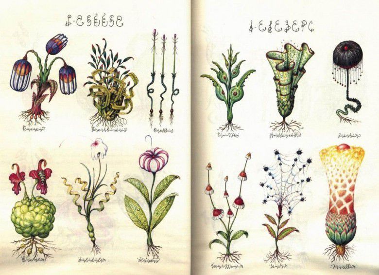2. Codex Seraphinianus