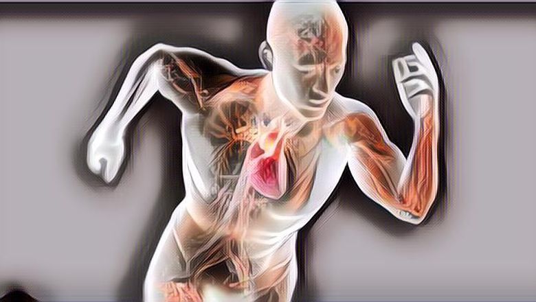 7 Cara Meningkatkan Metabolisme Tubuh, Agar Kalori di Tubuh Bisa Dibakar Saat Istirahat