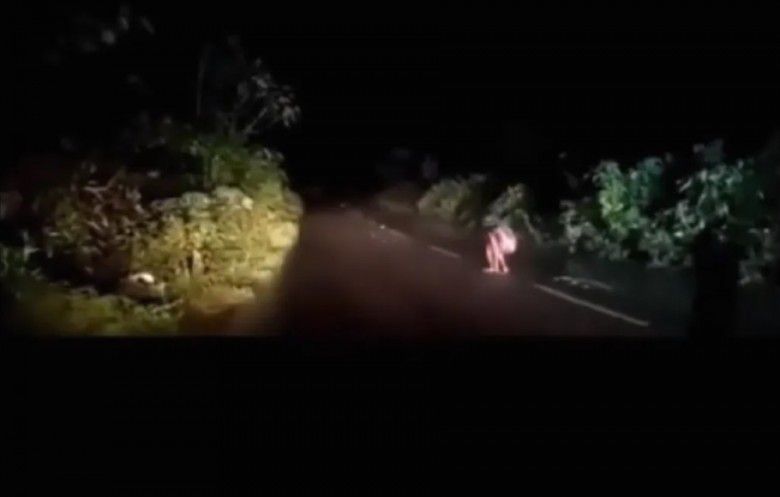 # Unggahan dari Pria Asal Kalimantan