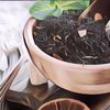 Tips Menikmati Teh Earl Grey Agar Lebih Nikmat
