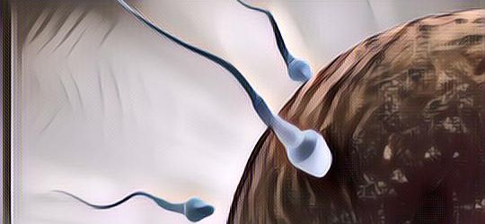 9 Penyebab Kualitas Sperma Buruk, Apa Saja?