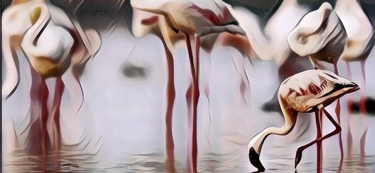 Apa Ini Buktinya Kalo Beberapa Hewan Bisa Memprediksi Bencana Alam?