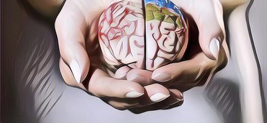 Fakta atau Mitos: Semakin Besar Otak Manusia, Semakin Pintar Dia?