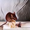 Cara Membasmi Tikus yang Super Efektif