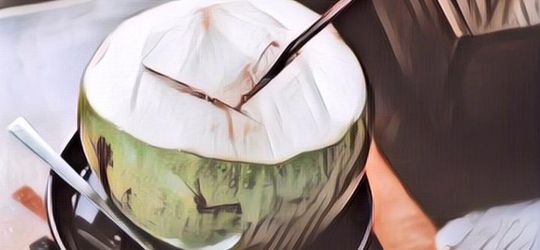 Pedagang Es Kelapa Ini Pasang Spanduk yang Bikin Salfok, Warganet: Metal Abis!