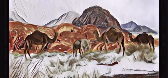 Fenomena Langka Gurun Sahara Diselimuti Salju, Suhu -3 Derajat Celcius