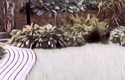 7 Tips Merawat Taman dengan Rumput Gajah Mini