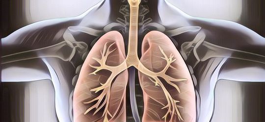 Perokok Merapat! 5 Makanan Ini Punya Manfaat Membersihkan Paru-Parumu dari Tar dan Nikotin