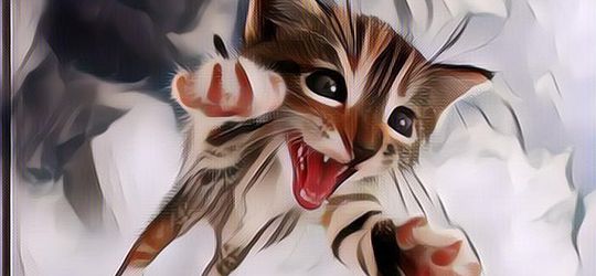 Ternyata Ini Alasan Kenapa Kucing Tak Makan Manusia, Padahal Mereka Satu Keluarga dengan Harimau