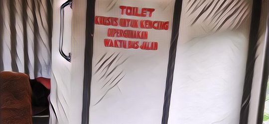 Terungkap Alasan Toilet di Bus Cuma Bisa Dipakai Penumpang Kalau Bus Sedang Jalan