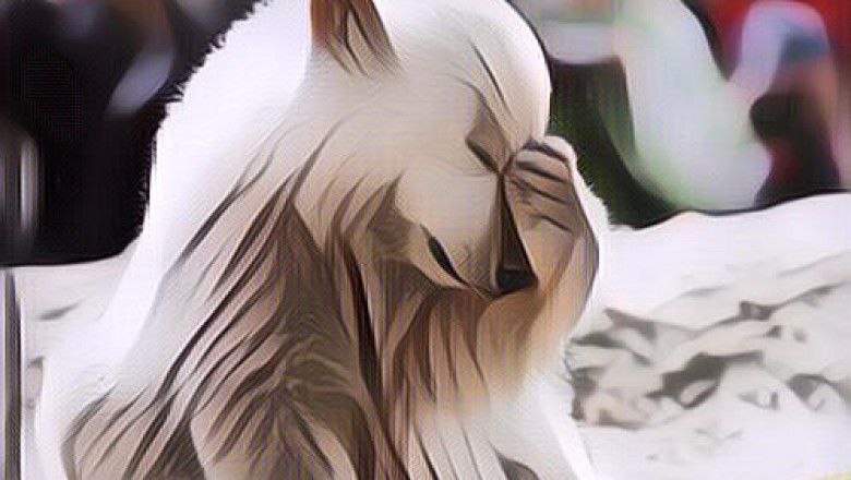 Kata-Kata Galau Lucu Bahasa Jawa, Tutupi Kesedihanmu dengan Senyuman