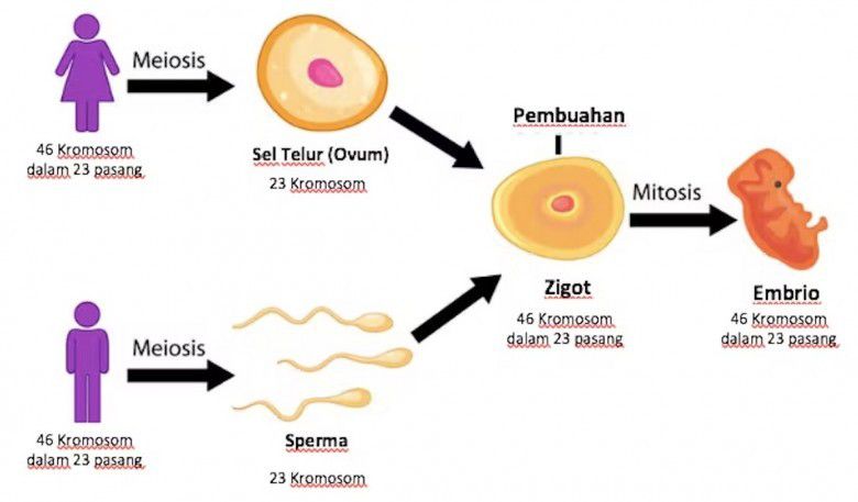 # Kondisi yang Membuat Kualitas Sperma Buruk