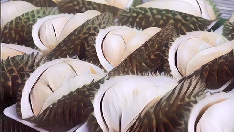 Jenis Jenis Durian Unggul di Indonesia, Enak dan Bisa Bikin Ketagihan!