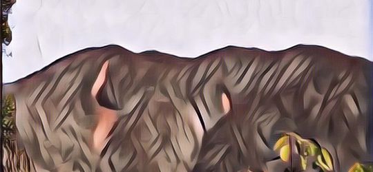 Letaknya Dekat Jakarta, Gunung Salak Dihuni 5 Sosok Gaib Ini, Hati-hati Saat Mendaki