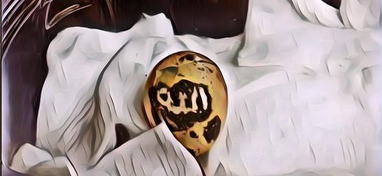 Viral! Lafadz Allah di Telur Puyuh, Begini Faktanya