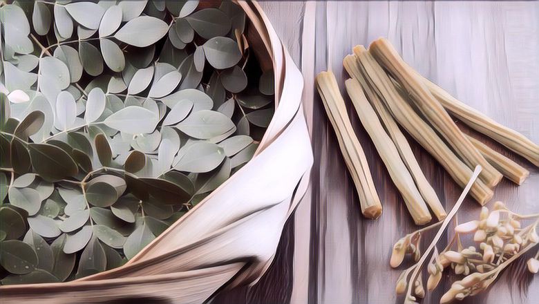 Miliki Banyak Kandungan yang Penting, Ini 6 Manfaat Luar Biasa Daun Kelor bagi Kesehatan Tubuh