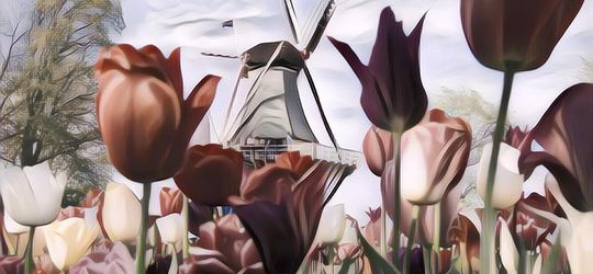 Punya Banyak Julukan, Belanda Nggak Mau Lagi Disebut Sebagai "Holland" Gegara Ulah Para Turis