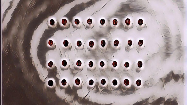 Tips Dan Trik Memilih Biji Kopi Terbaik