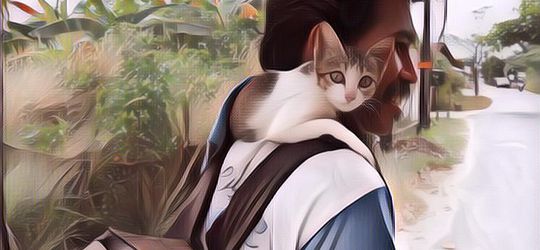 Dianggap Gila karena Kucing, Pemulung Ini Justru Berhati Mulia