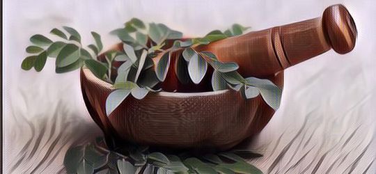 Ngalah-Ngalahin Sayur Bayam! Berikut Sederet Kandungan Nutrisi Daun Kelor dan Manfaatnya untuk Kesehatan