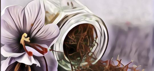 Ini yang Bikin Safron, Bisnis Taqy Malik Lebih Mahal Dari Emas