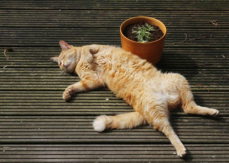 Weekend bermalas-malasan