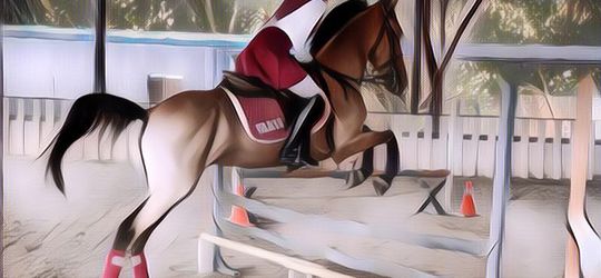 Bikin Ngilu, Ini Momen Ria Ricis Jatuh dari Kuda