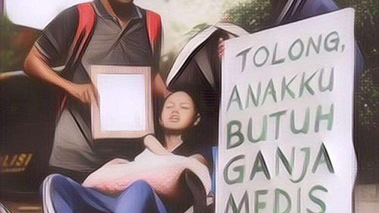 Viral Berita Seorang Ibu Minta MK Berikan Izin untuk Ganja Medis, Berikut Manfaat Ganja untuk Kesehatan yang Tak Banyak yang Tahu