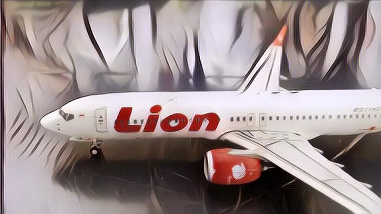 MD-82 Lion Air bernomor penerbangan JT 538, Tergelincir dan Menewaskan 26 Orang