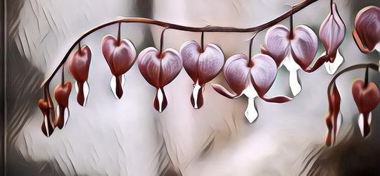 Jenis-Jenis Bunga yang Bentuknya Gak Lazim, Unik Tapi Cantik~