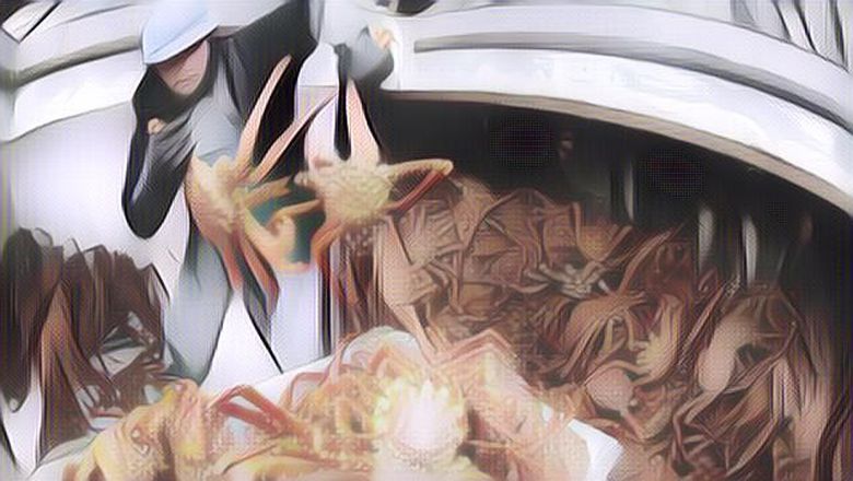 Menggiurkan! Pekerjaan Ini Berikan Gaji Ratusan Juta Per Bulan Namun Sepi Peminatnya