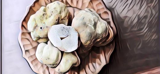4 Manfaat White Truffle untuk Kulit, Jamur Langka dengan Beragam Khasiat