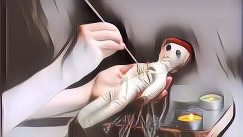 5 Hewan Pengantar Sihir, Hati-hati Saat Menemukannya di Rumah Bisa Jadi Tanda Ada Santet