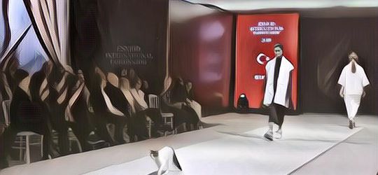 Seekor Kucing Ramaikan Fashion Show di Turki, "Catwalk" Beneran Ini Mah~