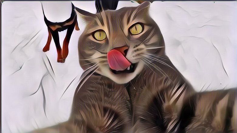 Kelakuan Bodoh Kucing yang Tertangkap Kamera, Buah Dijinakkan Manusia