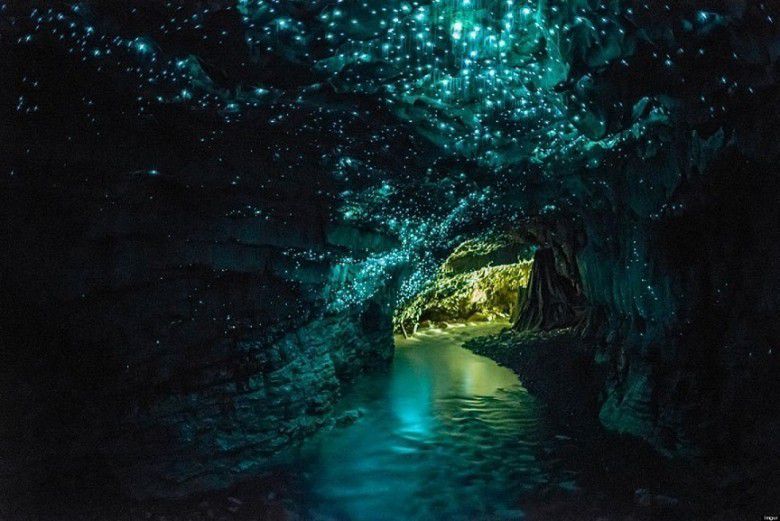 4. Glow Worm Caves, Selandia Baru